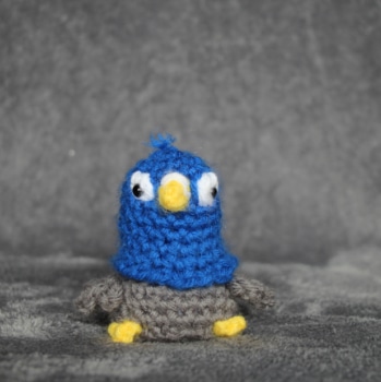 Pigeon