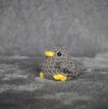 Baby Bird