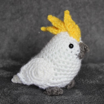 Cockatoo