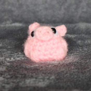 Baby Pig