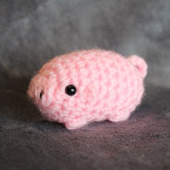 Pig